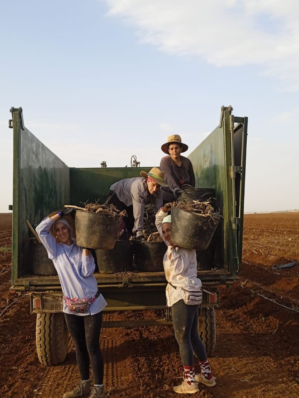 Talaios Marinaledako kooperatibentzat lanean ari da